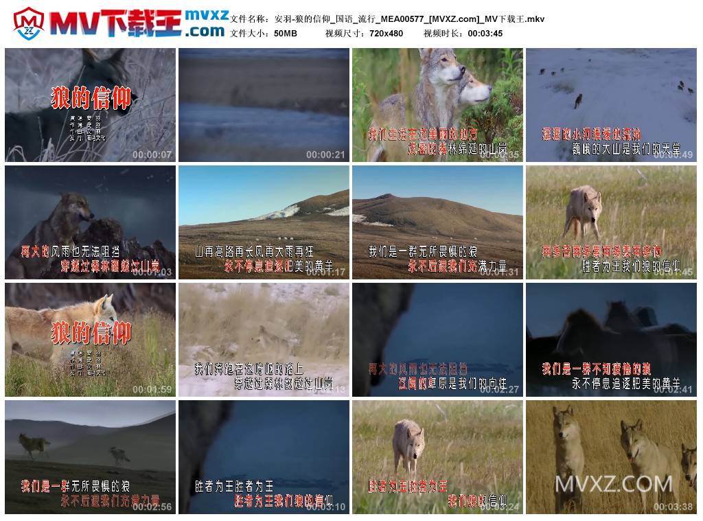 安羽-狼的信仰_国语_流行_MEA00577